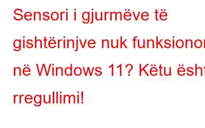 Sensori i gjurmëve të gishtërinjve nuk funksionon në Windows 11? Këtu është rregullimi!