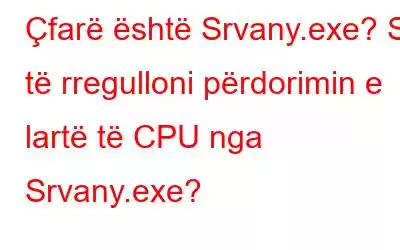 Çfarë është Srvany.exe? Si të rregulloni përdorimin e lartë të CPU nga Srvany.exe?