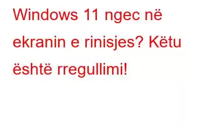 Windows 11 ngec në ekranin e rinisjes? Këtu është rregullimi!