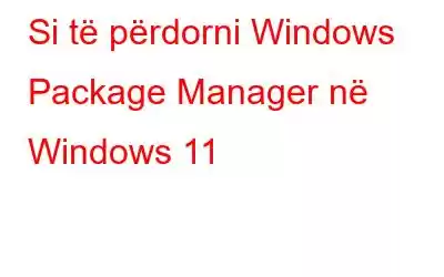 Si të përdorni Windows Package Manager në Windows 11