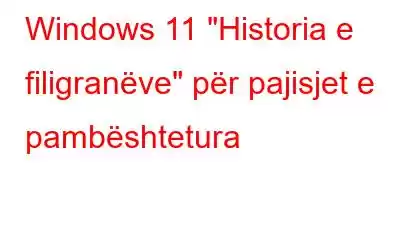 Windows 11 