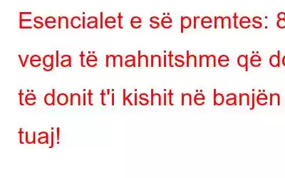 Esencialet e së premtes: 8 vegla të mahnitshme që do të donit t'i kishit në banjën tuaj!