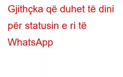 Gjithçka që duhet të dini për statusin e ri të WhatsApp