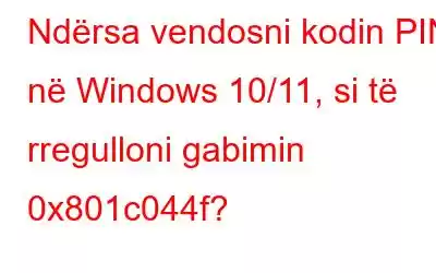 Ndërsa vendosni kodin PIN në Windows 10/11, si të rregulloni gabimin 0x801c044f?