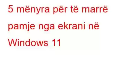 5 mënyra për të marrë pamje nga ekrani në Windows 11