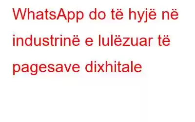 WhatsApp do të hyjë në industrinë e lulëzuar të pagesave dixhitale