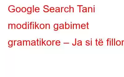 Google Search Tani modifikon gabimet gramatikore – Ja si të filloni