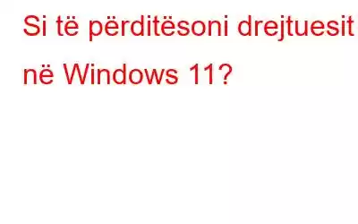 Si të përditësoni drejtuesit në Windows 11?