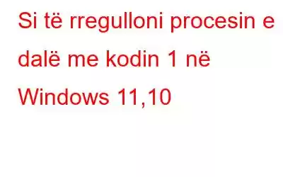 Si të rregulloni procesin e dalë me kodin 1 në Windows 11,10