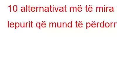 10 alternativat më të mira të lepurit që mund të përdorni