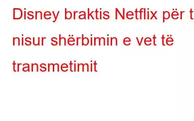 Disney braktis Netflix për të nisur shërbimin e vet të transmetimit