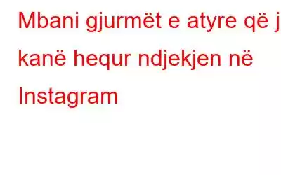 Mbani gjurmët e atyre që ju kanë hequr ndjekjen në Instagram