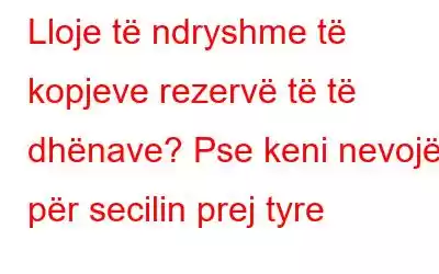 Lloje të ndryshme të kopjeve rezervë të të dhënave? Pse keni nevojë për secilin prej tyre