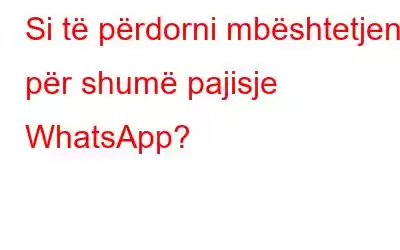 Si të përdorni mbështetjen për shumë pajisje WhatsApp?