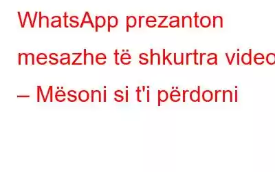 WhatsApp prezanton mesazhe të shkurtra video – Mësoni si t'i përdorni