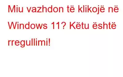 Miu vazhdon të klikojë në Windows 11? Këtu është rregullimi!