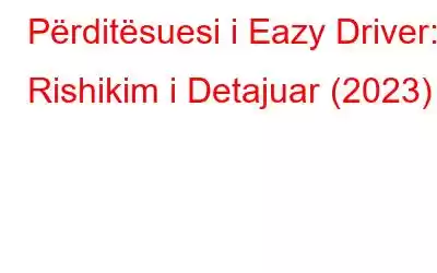 Përditësuesi i Eazy Driver: Rishikim i Detajuar (2023)