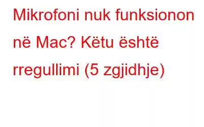 Mikrofoni nuk funksionon në Mac? Këtu është rregullimi (5 zgjidhje)