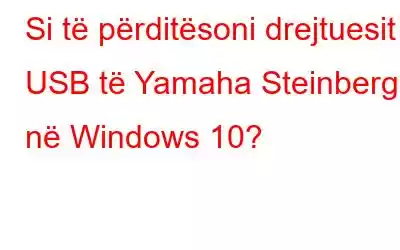 Si të përditësoni drejtuesit USB të Yamaha Steinberg në Windows 10?