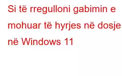 Si të rregulloni gabimin e mohuar të hyrjes në dosje në Windows 11