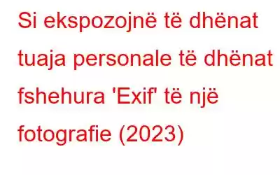 Si ekspozojnë të dhënat tuaja personale të dhënat e fshehura 'Exif' të një fotografie (2023)