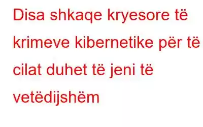 Disa shkaqe kryesore të krimeve kibernetike për të cilat duhet të jeni të vetëdijshëm